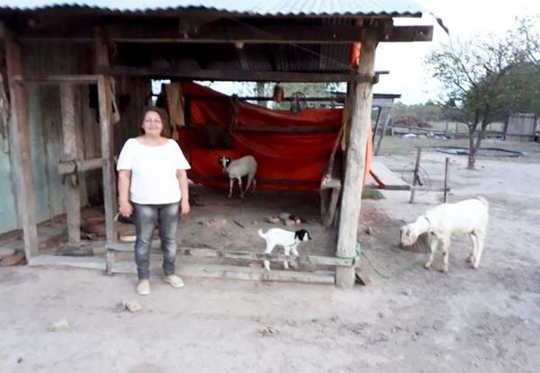 Caso Korochire: cuestionan imputación contra siete personas - Nacionales - ABC Color