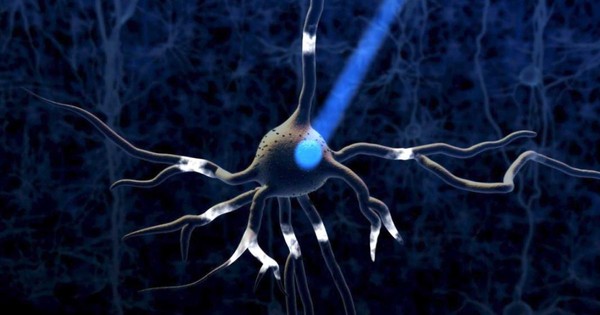 La Nación / Ciego recobró parcialmente la vista con terapia optogenética