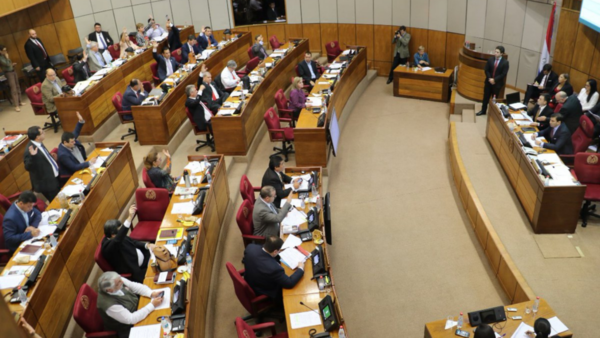 Votos del Frente Guasu definirán presidencia del Senado | El Independiente