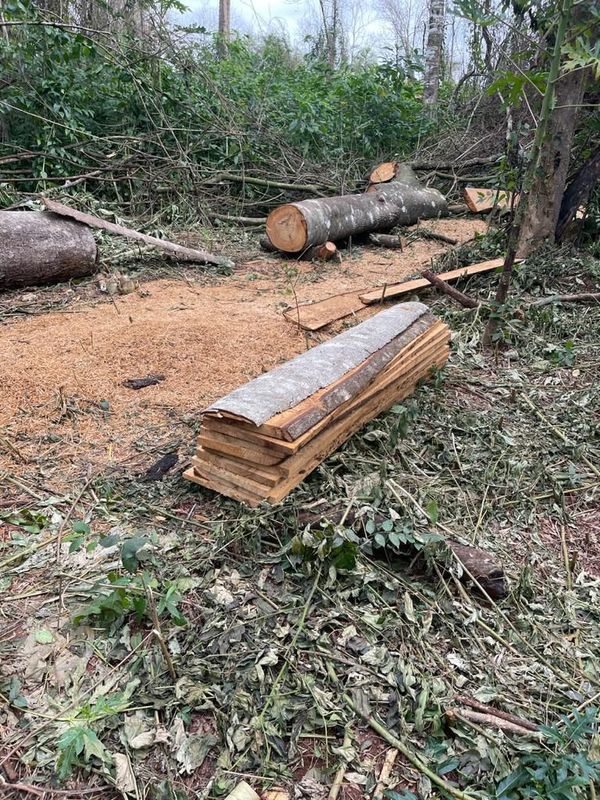 Preocupa destrucción de reserva forestal del San Rafael - Nacionales - ABC Color