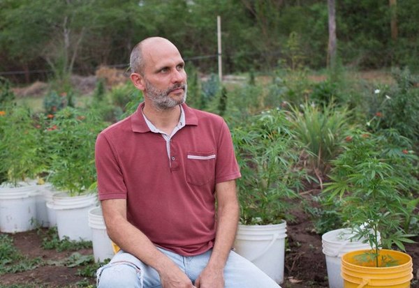 Otorgan libertad condicional a productor de aceite medicinal de cannabis