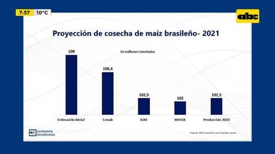 Enfoque Económico: Campaña del maíz en Brasil y Argentina - Enfoque económico - ABC Color