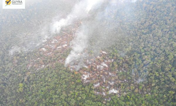 Preocupa invasión campesina en la reserva San Rafael