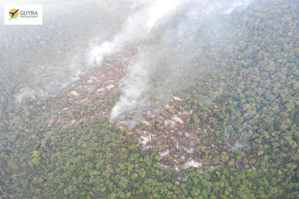 Denuncian nuevas depredaciones en reserva natural de San Rafael