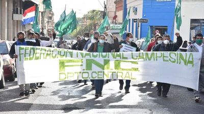 Horticultores se manifiestan para exigir asistencia del Estado