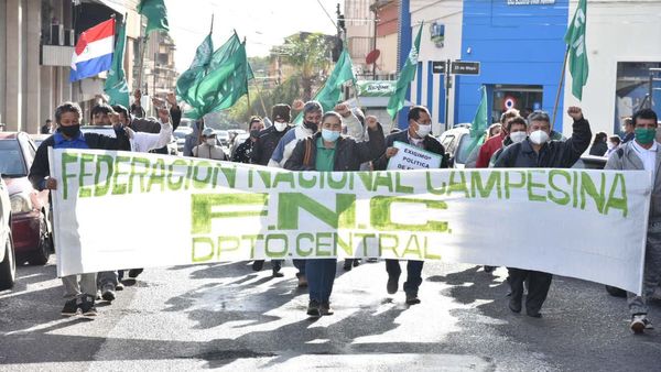 Horticultores se manifiestan para exigir asistencia del Estado