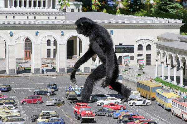 Aunque no lo creas, esta foto es real | OnLivePy