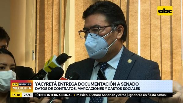 Yacyretâ entregó documentos al Senado - ABC Noticias - ABC Color