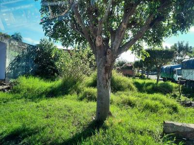 Claman por limpieza de terreno baldío en Coronel Oviedo – Prensa 5
