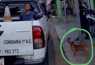 Crónica / Firulais acompañó a su dueño ¡hasta la comisaria!
