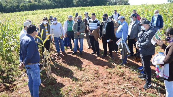 En Coronel Bogado piden al Gobierno contratar técnicos agrícolas