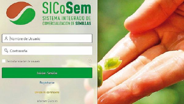 Actualizan sistema de reserva de semillas de soja paraguaya