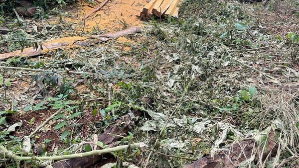 Urgen una intervención para salvar la Reserva San Rafael