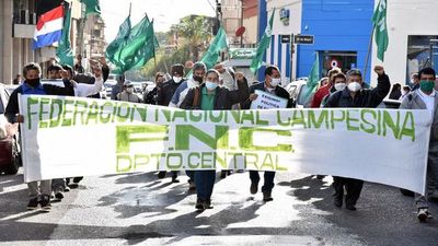 FNC tiene menos cultivo y pide asistencia estatal