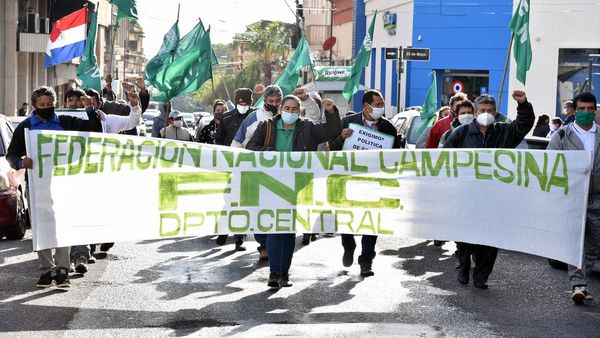 FNC tiene menos cultivo y pide asistencia estatal