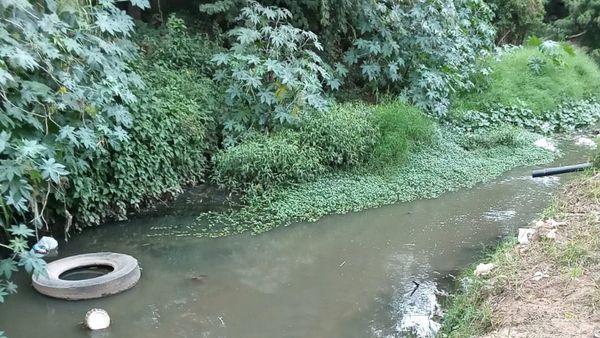 Desechos cloacales e industriales deterioran cauce en zona de Mariano