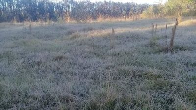 El Departamento de Itapúa, con primeras heladas del año