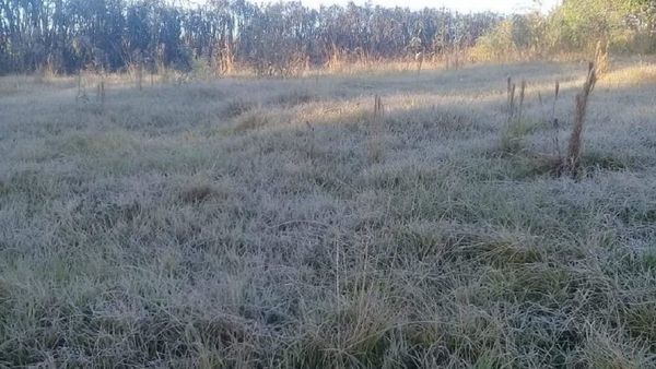 El Departamento de Itapúa, con primeras heladas del año