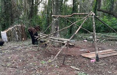 Denuncian invasión de predio dentro de la reserva Cordillera San Rafael - Nacionales - ABC Color