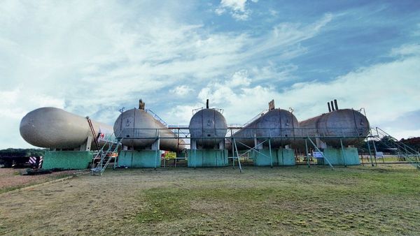 Copesa crece con renovadas energías