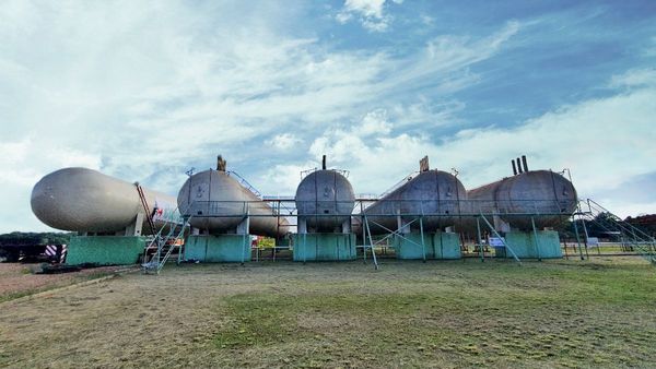 Copesa crece con renovadas energías