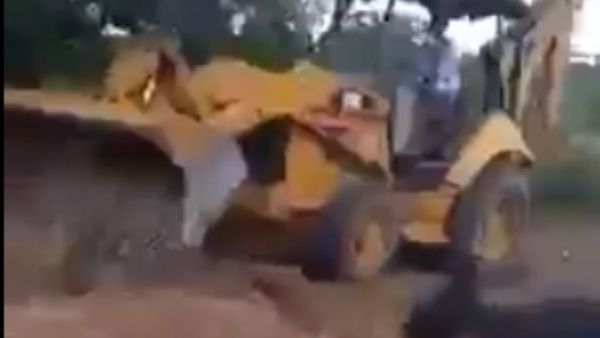Profe murió por COVID y la entierran con tractor