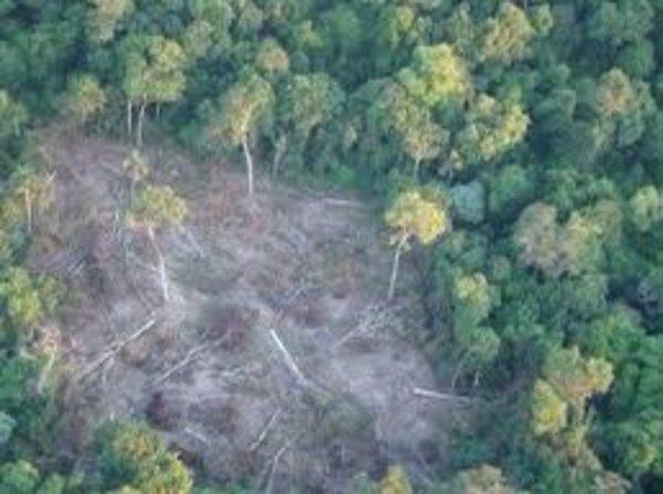 Senador denuncia ante Fiscalía delitos cometidos en la Reserva San Rafael