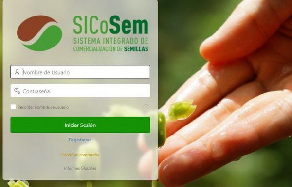 Actualizan sistema de reserva de semillas de soja paraguaya