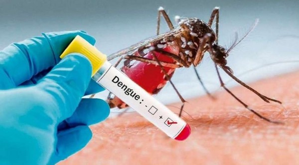 Reportan que dengue refleja tendencia al descenso