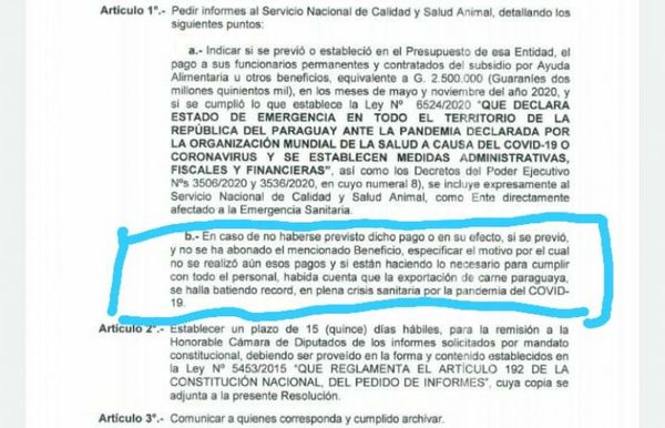 Diputados pide informe al Senacsa si se pagó o no gratificaciones a funcionarios