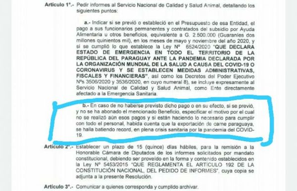 Diputados pide informe al Senacsa si se pagó o no gratificaciones a funcionarios