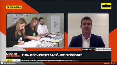 Silva justifica pedido de Vera Bejarano para postergar elecciones - Nacionales - ABC Color