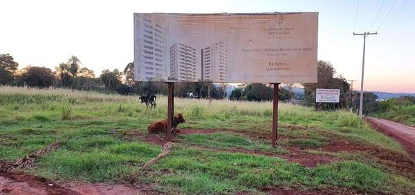 Concejales negocian con “Kelembu” y aprueban instalar surtidor en las cercanías de la Costanera - La Clave