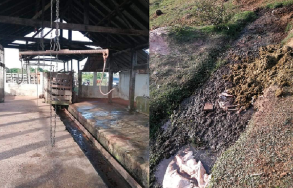 Calamitosa situación del matadero de San José de los Arroyos - Noticiero Paraguay