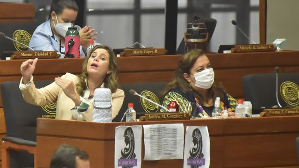 Sorpresa en Diputados que aprueba proyecto para auditar binacionales