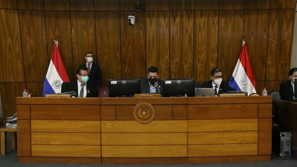 Crean comisión de control de leyes contra el Covid-19