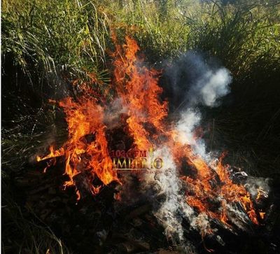 Incautan 561 kilos de supuesta marihuana en la colonia Estrella