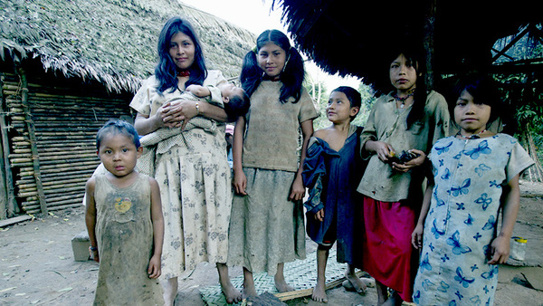 El pueblo indígena de la Amazonía boliviana con los corazones más sanos del mundo pueden ser la clave para retrasar el envejecimiento | OnLivePy