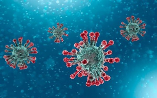 Crónica / ¿Qué es el “hongo negro” y qué tiene que ver con el virus vai?