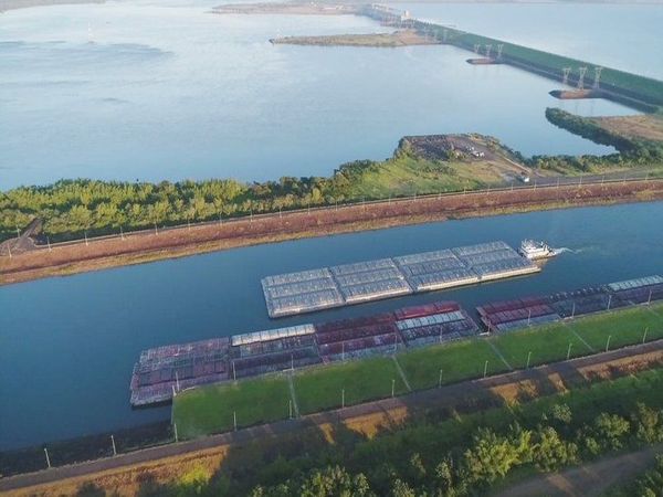 Barcazas con soja logran navegar por el Paraná luego de dos meses