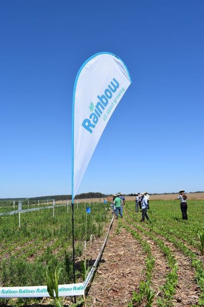 Rainbow se fortalece con innovación y asistencia en Paraguay