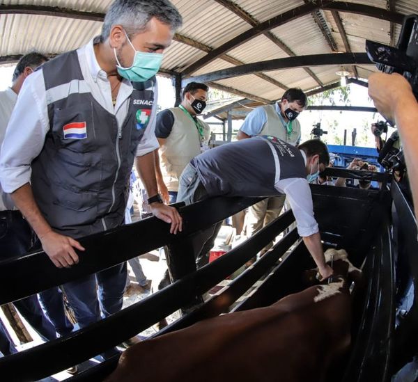 Paraguay asume presidencia de la Organización Mundial de Sanidad Animal