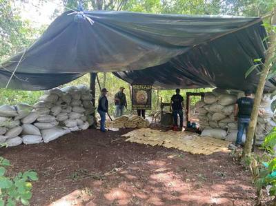 Senad desmanteló centro de almacenamiento de marihuana en Amambay