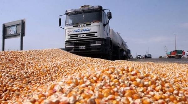 Paraguay reduce retención del IVA al transporte de granos