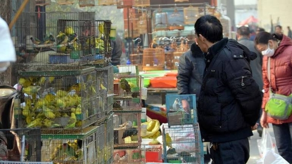 Diario HOY | Entre el 60 y 70 % de enfermedades que afectan a humanos tiene origen animal