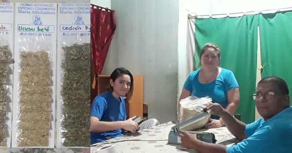 La Nación / Ejemplo de superación: familia sale adelante incursionando en la medicina alternativa