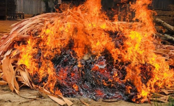 Incineran más de 900kg de marihuana incautada tras persecución