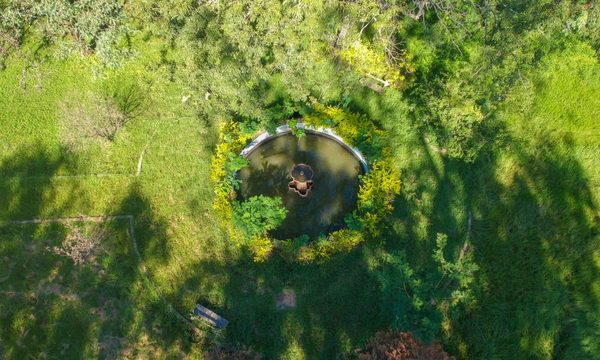 Jardines históricos del Botánico. Jardín Kamba’i