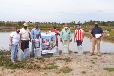 Entregan alevines y capacitan para promover la producción piscícola en Cordillera | .::Agencia IP::.