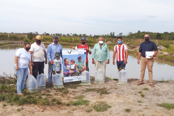 Entregan alevines y capacitan para promover la producción piscícola en Cordillera | .::Agencia IP::.